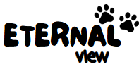 Eternalview Internacional